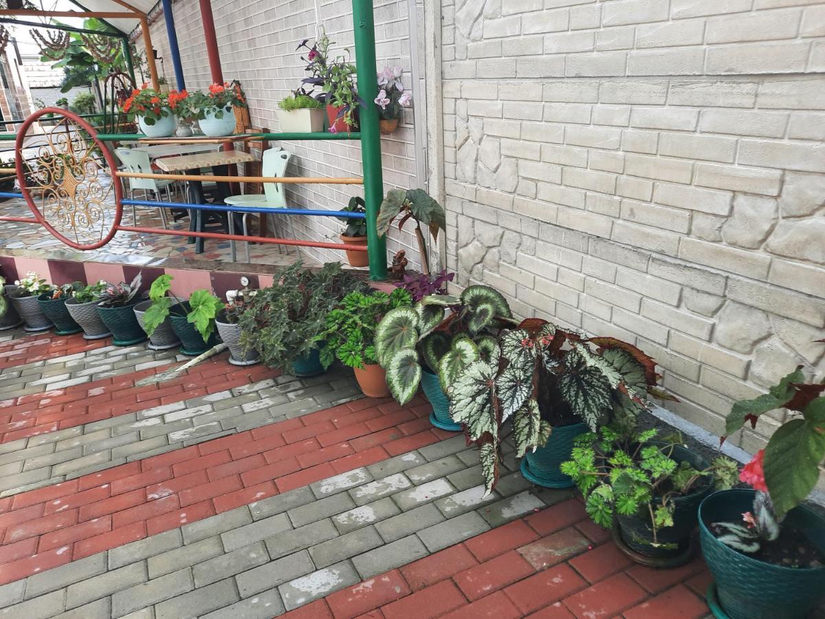 Hotel Nino Kobuleti Exterior foto